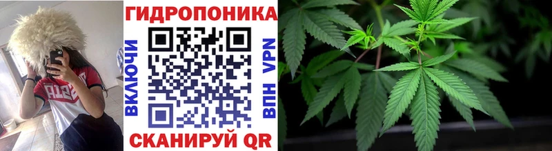 Бошки Шишки планчик  Купить где  Бабаево 